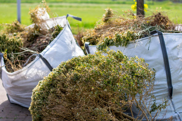 Best Dumpster Rental Services  in Haverhill, MA